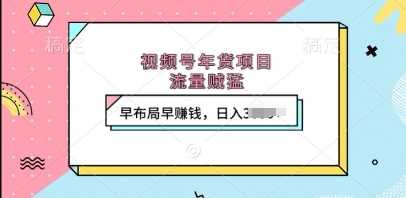 视频号年货项目，流量贼猛，早布局早挣钱，日入上k【揭秘】-网创空间