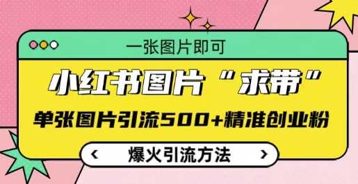 小红书图片‘求带’爆火引流法，单张图片引流500+精准创业粉【揭秘】-网创空间