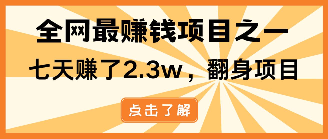 （13674期）小白必学项目，纯手机简单操作收益非常高!年前翻身！-网创空间