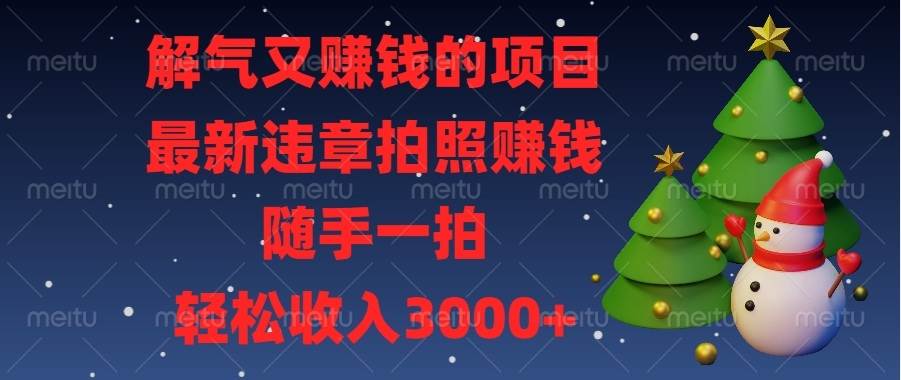 （13686期）解气又赚钱的项目，最新违章拍照赚钱，随手一拍，轻松收入3000+-网创空间