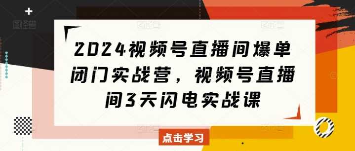 2024视频号直播间爆单闭门实战营,视频号直播间3天闪电实战课-网创空间