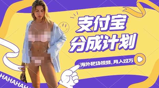 利用海外靶场射击视频，挣支付宝分成收益，轻松月入过W【揭秘】-网创空间