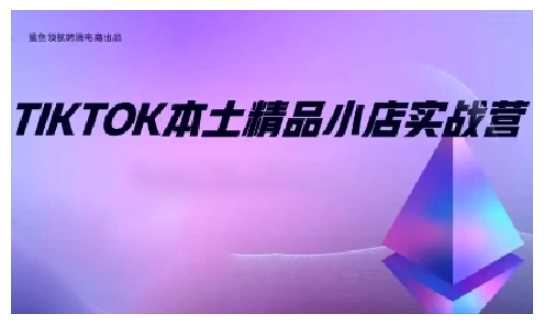 TikTok本土精品小店出海实战营，从入门到高阶，不止0-1!-网创空间