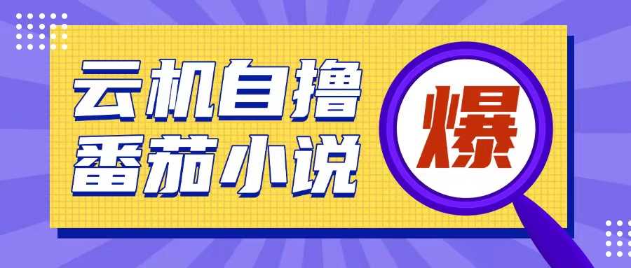 首发云手机自撸小说玩法，10块钱成本可撸200+收益操作简单【揭秘】-网创空间