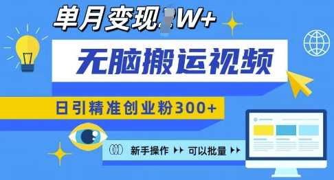 无脑搬运视频号可批量复制，新手即可操作，日引精准创业粉300+，月变现过W 【揭秘】-网创空间