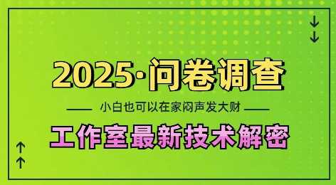 2025问卷调查最新工作室技术解密：一个人在家也可以闷声发大财，小白一天2张，可矩阵放大【揭秘】-网创空间
