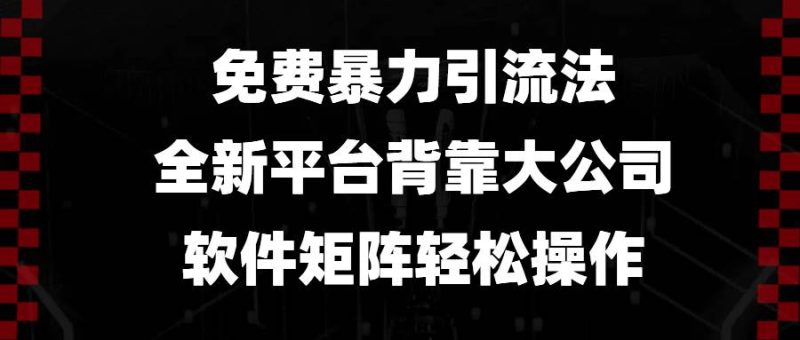 （13745期）免费暴力引流法，全新平台，背靠大公司，软件矩阵轻松操作-网创空间