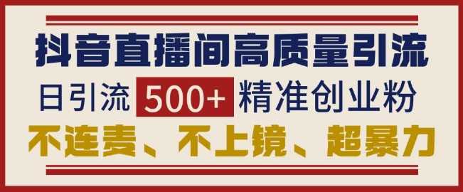 抖音直播间引流创业粉，无需连麦、不用上镜、超暴力，日引流500+高质量精准创业粉-网创空间