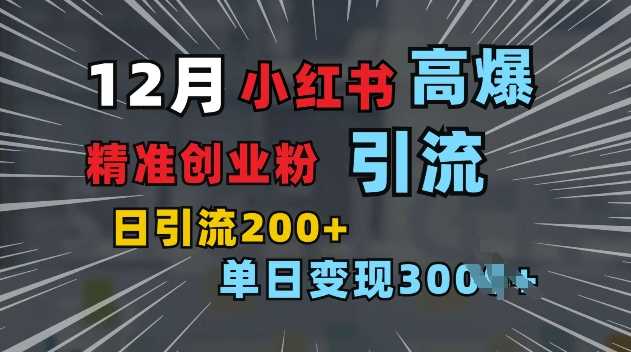 小红书一张图片“引爆”创业粉，单日+200+精准创业粉 可筛选付费意识创业粉【揭秘】-网创空间