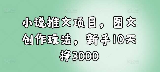 小说推文项目，图文创作玩法，新手10天挣3000-网创空间