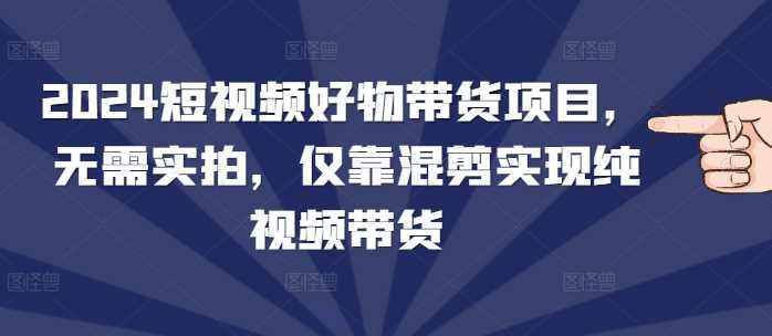 2024短视频好物带货项目，无需实拍，仅靠混剪实现纯视频带货-网创空间