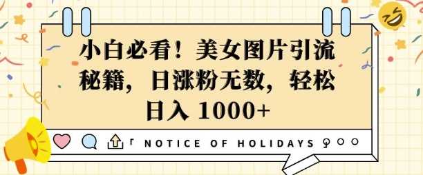 小白必看，美女图片引流秘籍，日涨粉无数，轻松日入几张【揭秘】-网创空间