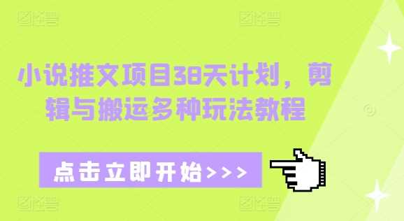 小说推文项目38天计划，剪辑与搬运多种玩法教程-网创空间