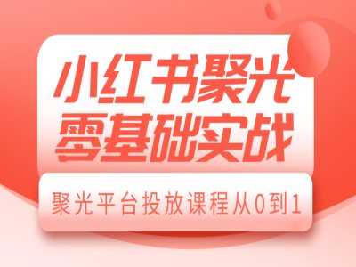 小红书聚光零基础实战，聚光平台投放课程从0到1-网创空间
