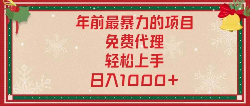 （13773期）年前最暴力的项目，免费代理，轻松上手，日入1000+-网创空间