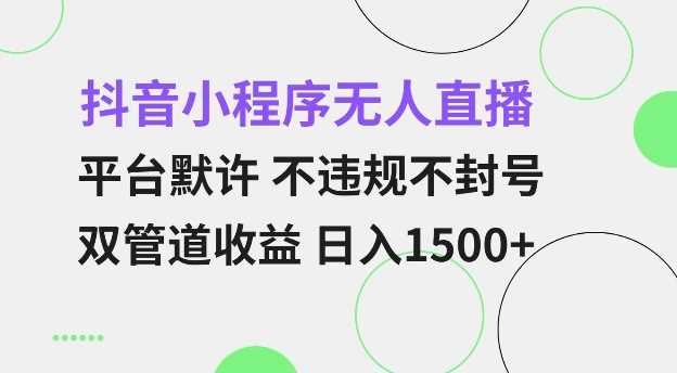 抖音小程序无人直播 平台默许 不违规不封号 双管道收益 日入多张 小白也能轻松操作【仅揭秘】-网创空间