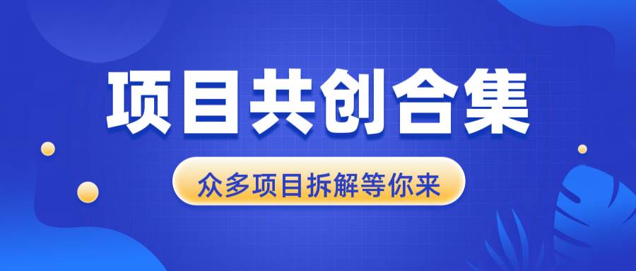 （13778期）项目共创合集，从0-1全过程拆解，让你迅速找到适合自已的项目-网创空间