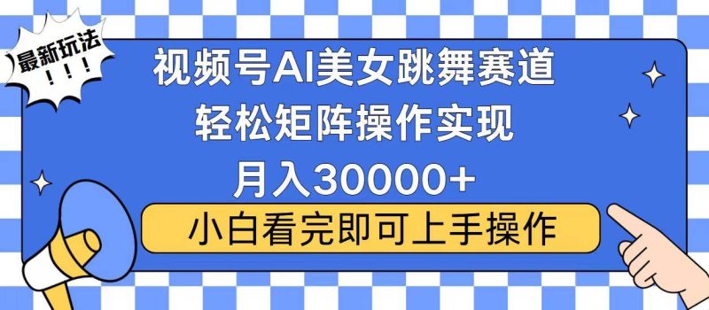 (13813期)视频号蓝海赛道玩法,当天起号,拉爆流量收益,小白也能轻松月入30000+-网创空间