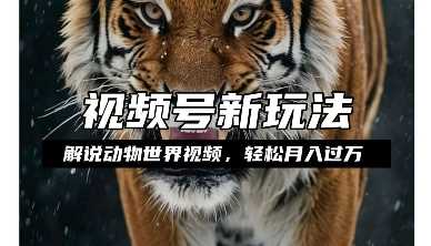 利用动物世界解说视频，赚分成计划收益，轻松月入过W，操作简单【揭秘】-网创空间