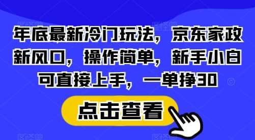 年底最新冷门玩法，京东家政新风口，操作简单，新手小白可直接上手，一单挣30【揭秘】-网创空间