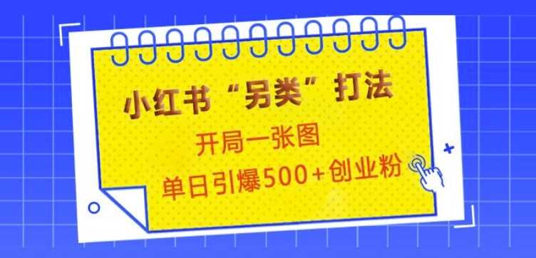 小红书“另类”打法，开局一张图，单日引爆500+精准创业粉【揭秘】-网创空间