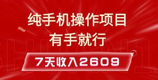 纯手机操作的小项目，有手就能做，7天收入2609+实操教程【揭秘】-网创空间