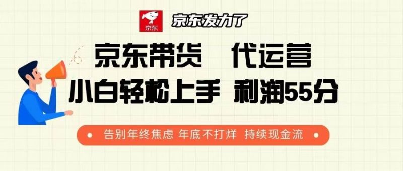 (13833期)京东带货 代运营 利润55分 告别年终焦虑 年底不打烊 持续现金流-网创空间