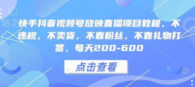 快手抖音视频号放映直播项目教程，不违规，不卖货，不靠粉丝，不靠礼物打赏，每天200-600-网创空间