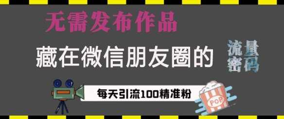 藏在微信朋友圈的流量密码，无需发布作品，单日引流100+精准创业粉【揭秘】-网创空间