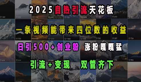 2025自热引流天花板,一条视频能带来四位数的收益,引流+变现双管齐下,日引500+创业粉,涨粉嘎嘎猛-网创空间