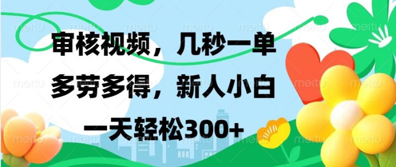 审核视频，几秒一单，多劳多得，新人小白一天轻松300+-网创空间