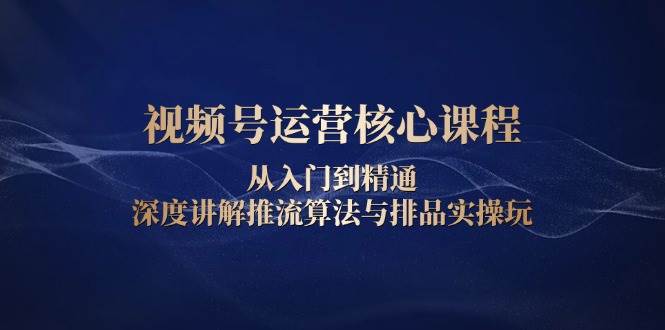 视频号运营核心课程，从入门到精通，深度讲解推流算法与排品实操玩-网创空间