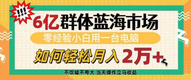 6亿群体蓝海市场，零经验小白用一台电脑，如何轻松月入过w【揭秘】-网创空间