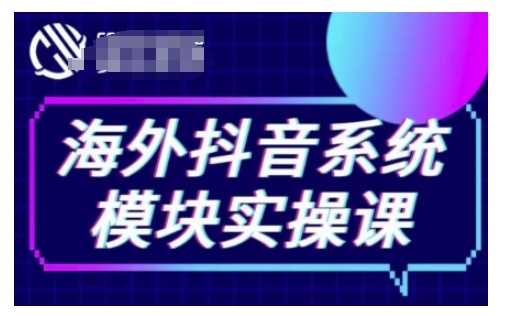 海外抖音Tiktok系统模块实操课，TK短视频带货，TK直播带货，TK小店端实操等-网创空间