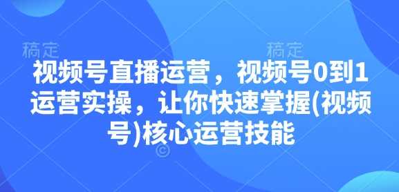 视频号直播运营，视频号0到1运营实操，让你快速掌握(视频号)核心运营技能-网创空间