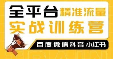 全平台精准流量实战训练营，百度微信抖音小红书SEO引流教程-网创空间