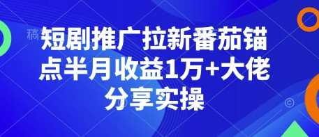 短剧推广拉新番茄锚点半月收益1万+大佬分享实操-网创空间