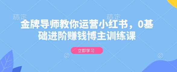金牌导师教你运营小红书，0基础进阶赚钱博主训练课-网创空间