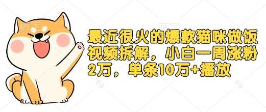 最近很火的爆款猫咪做饭视频拆解，小白一周涨粉2万，单条10万+播放(附保姆级教程)-网创空间