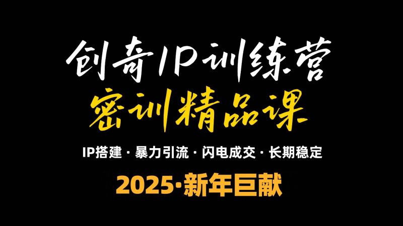 （13898期）2025年“知识付费IP训练营”小白避坑年赚百万，暴力引流，闪电成交-网创空间
