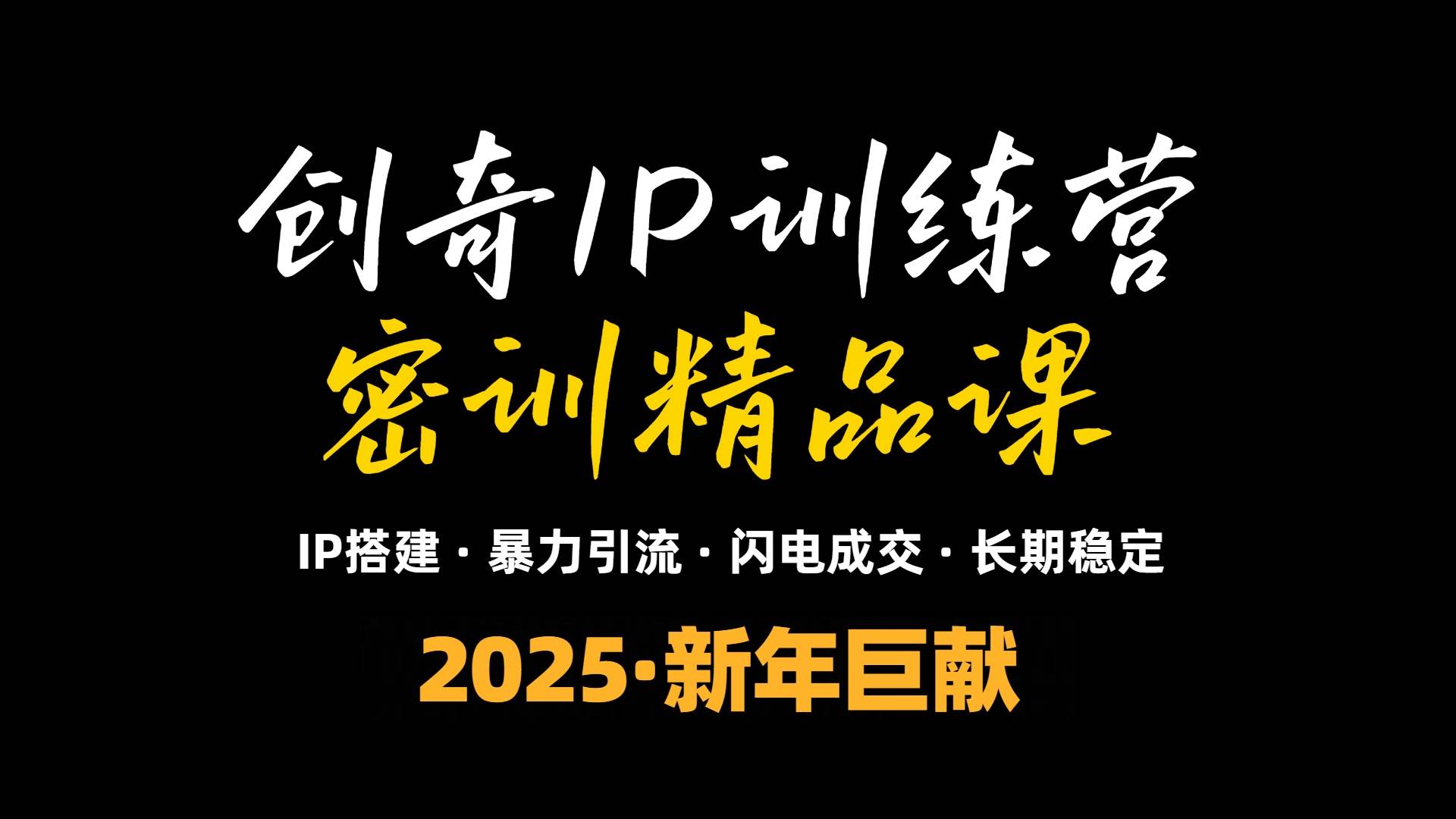 （13898期）2025年“知识付费IP训练营”小白避坑年赚百万，暴力引流，闪电成交-网创空间