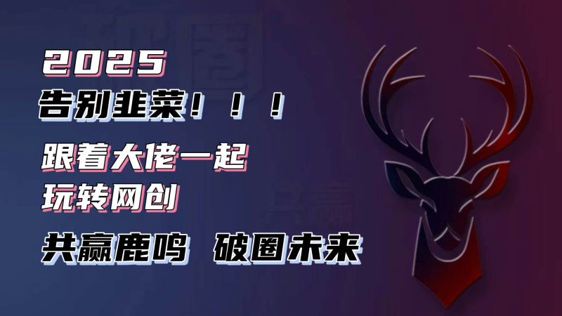 （13896期）告别韭菜！2025知识付费风口项目，小白也能闭眼操作！-网创空间