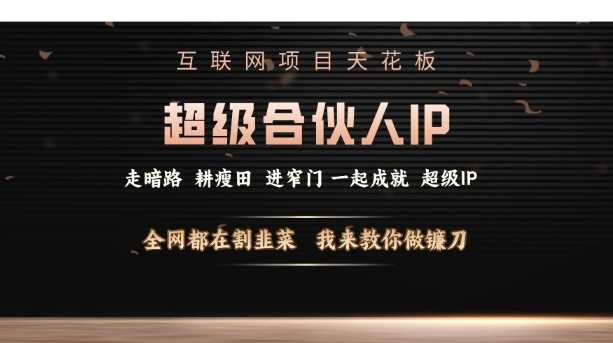 互联网项目天花板，超级合伙人IP，全网都在割韭菜，我来教你做镰刀【仅揭秘】-网创空间