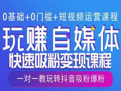 0基础+0门槛+短视频运营课程，玩赚自媒体快速吸粉变现课程，一对一教玩转抖音吸粉爆粉-网创空间
