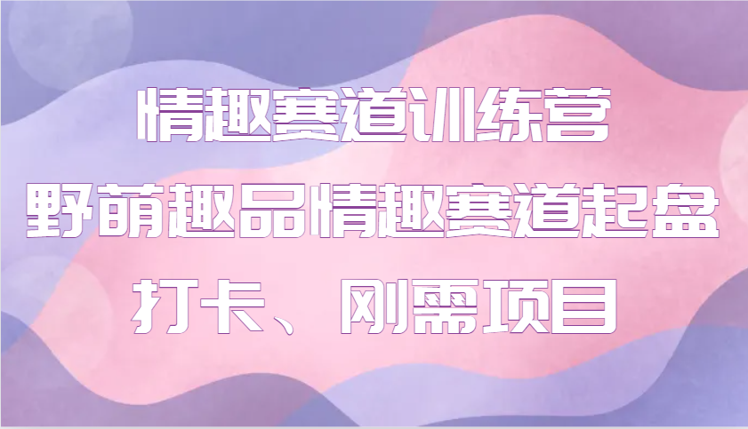 情趣赛道训练营 野萌趣品情趣赛道起盘打卡、刚需项目-网创空间