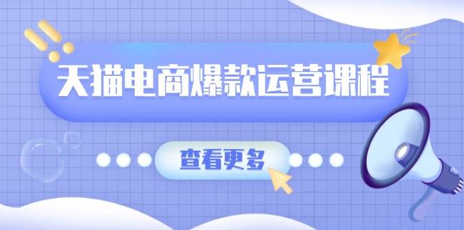 （13910期）天猫电商爆款运营课程，爆款卖点提炼与流量实操，多套模型全面学习-网创空间