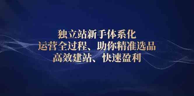 独立站新手体系化 运营全过程，助你精准选品、高效建站、快速盈利-网创空间