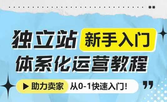 独立站新手入门体系化运营教程，助力独立站卖家从0-1快速入门!-网创空间