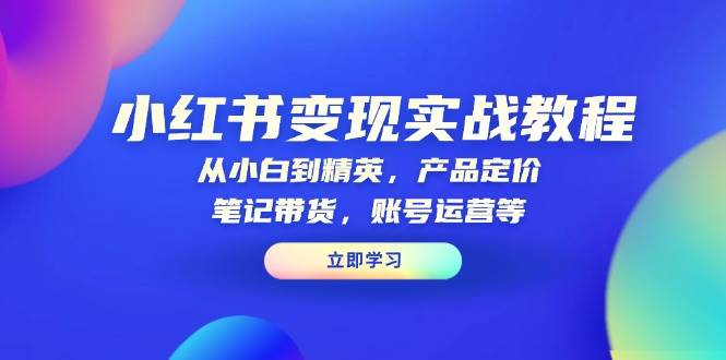 小红书变现实战教程：从小白到精英，产品定价，笔记带货，账号运营等-网创空间