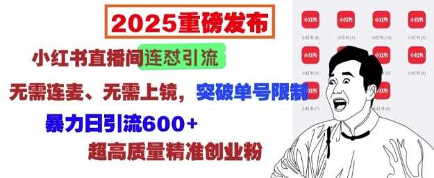 2025重磅发布：小红书直播间连怼引流，无需连麦、无需上镜，突破单号限制，暴力日引流600+-网创空间